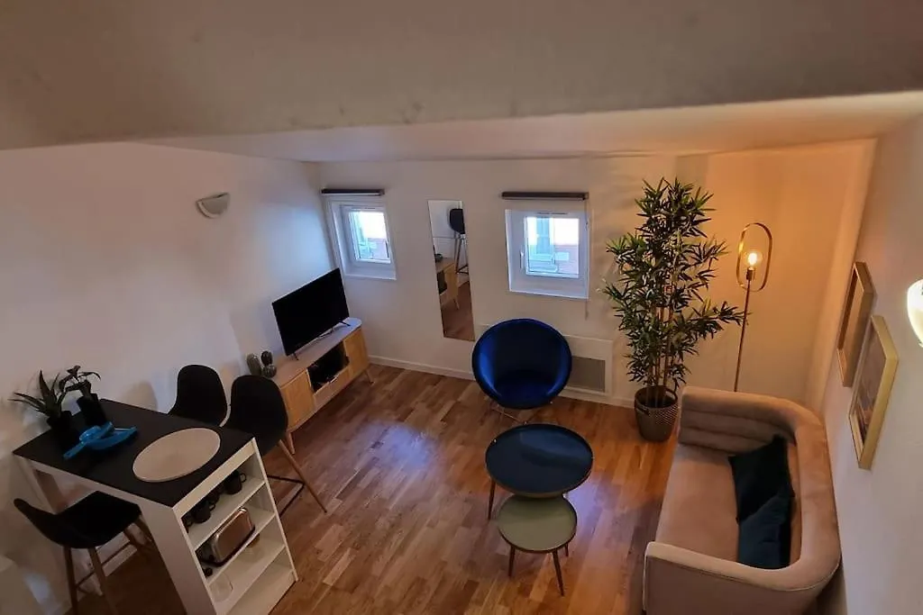 Appartement T2 Charmant - Hypercentre - Quai De Garonne - Wifi à Toulouse France